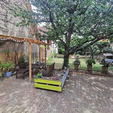 Gite Aux Sources D'Alsace سولتزماسولتز المظهر الخارجي الصورة